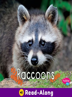 cover image of Raccoons